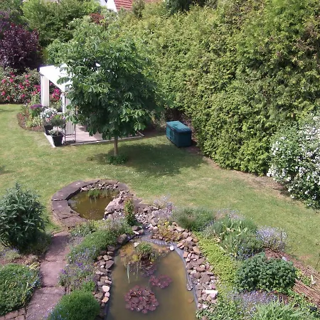 Haus Alexandra アパート バート・ドリーブルク