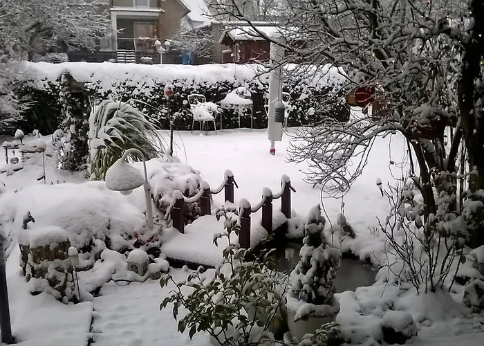 Haus Alexandra باد دريبرغ